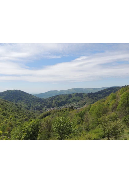 2019 Bourbach-Le-Haut Collines