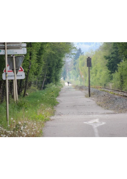 2019 Niederbruck Voie verte vélo zone industrielle