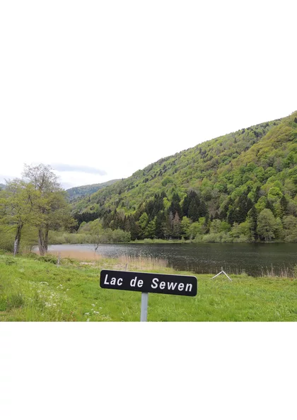 2019 Sewen  Lac