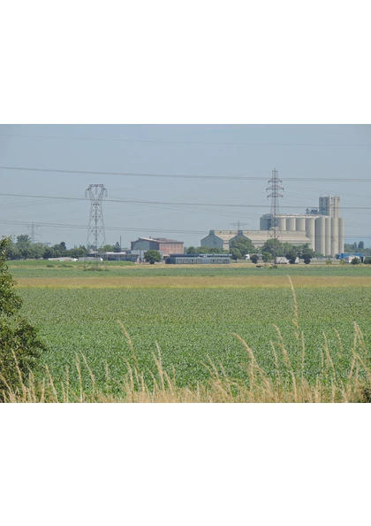 2016 Ottmarsheim  Plaine céréales silo Armbruster