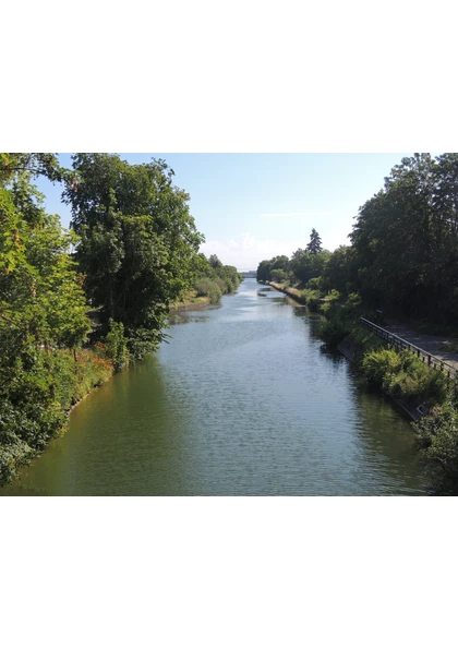 2016 Riedisheim  Coulée verte Canal