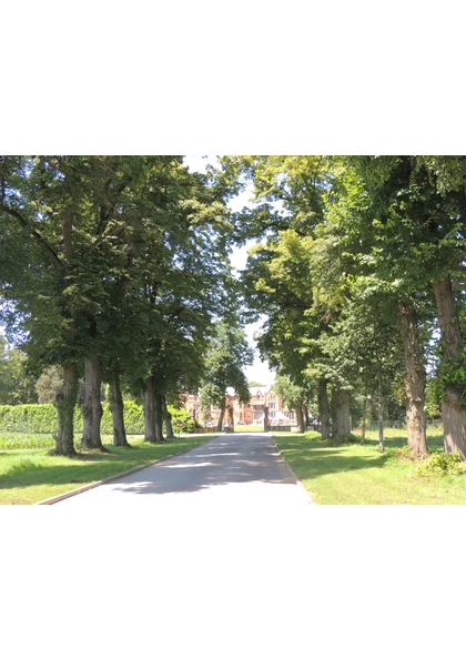 2016 Hombourg  Allée entrée Château