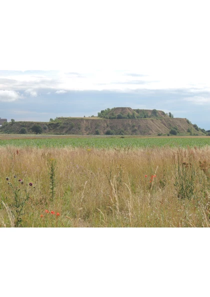 2016 Wittenheim  Terril Eugène renaturation biodiversité