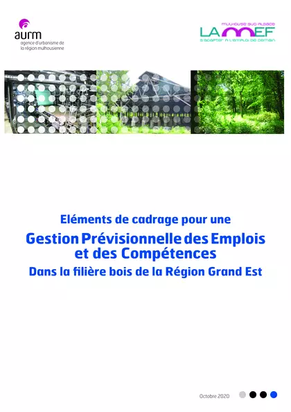 Eléments de cadrage pour une Gestion Prévisionnelle des Emplois et des Compétences dans la filière Bois de la Région Grand Est