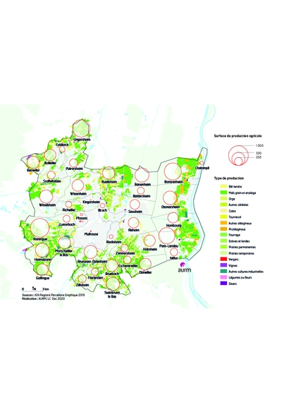 Les surfaces agricoles de la région mulhousienne