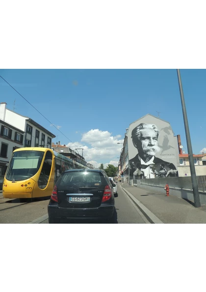 2020 Mulhouse tram voiture fresque