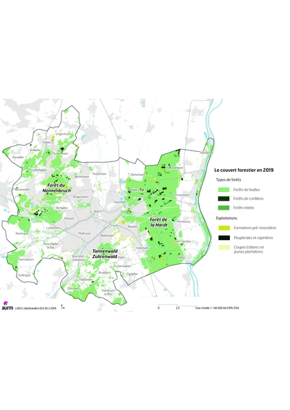 Le couvert forestier de l'agglomération mulhousienne en 2019