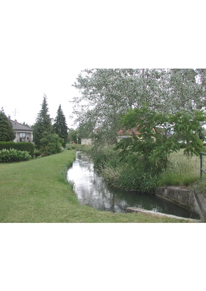 2004 Habsheim eau (2)