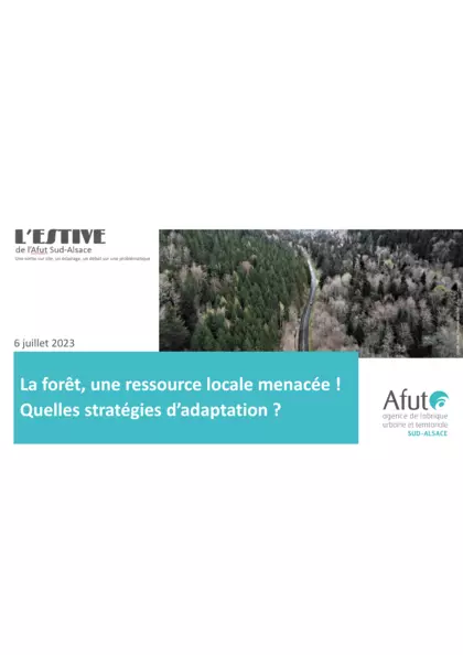 La forêt, une ressource locale menacée ! Quelles stratégies d'adaptation ?